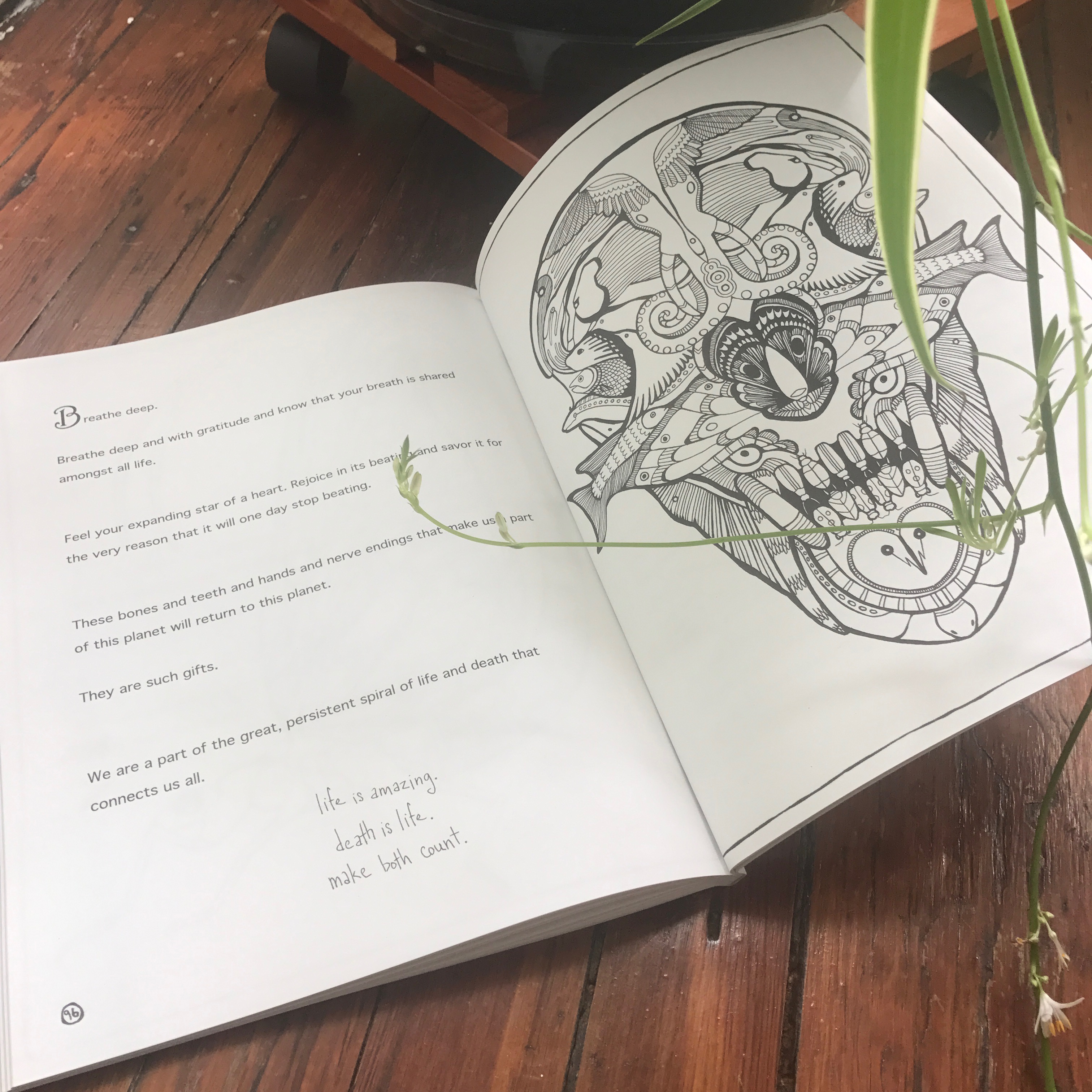 Everything Dies: A Coloring Book About Life!